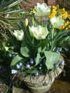 pot 3