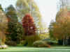 autumn2020.jpg (39177 bytes)