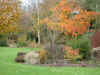 autumncol.jpg (205101 bytes)