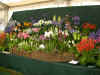 07 wisley Show
