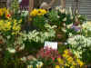 April Show 2009
