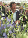 11tattonMontyDon.jpg (353590 bytes)